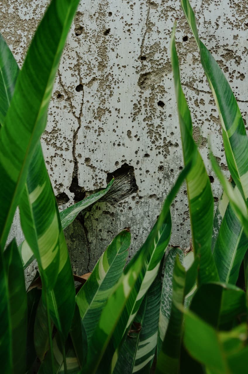 Превью Sri Lanka 2022